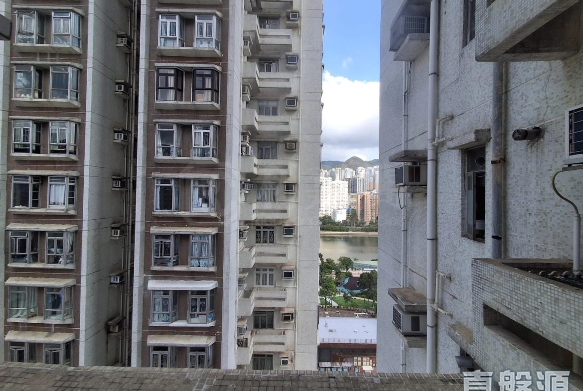 沙田中心 佳寧大廈 (C座) - 28NTS – 香港北部都會區