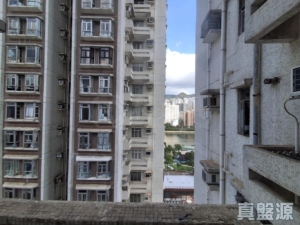 沙田中心 佳寧大廈 (C座) - 28NTS – 香港北部都會區