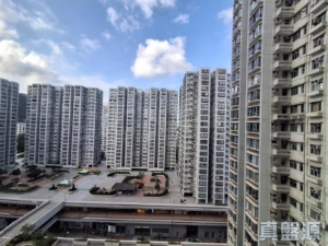 沙田中心 佳寧大廈 (C座) - 28NTS – 香港北部都會區