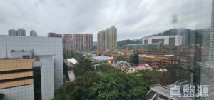 沙田中心 佳寧大廈 (C座) - 28NTS – 香港北部都會區