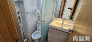 沙田中心 佳寧大廈 (C座) - 28NTS – 香港北部都會區