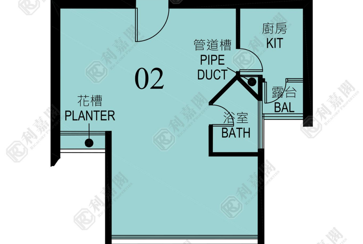 1786467550131287_2000_ricacorp.png