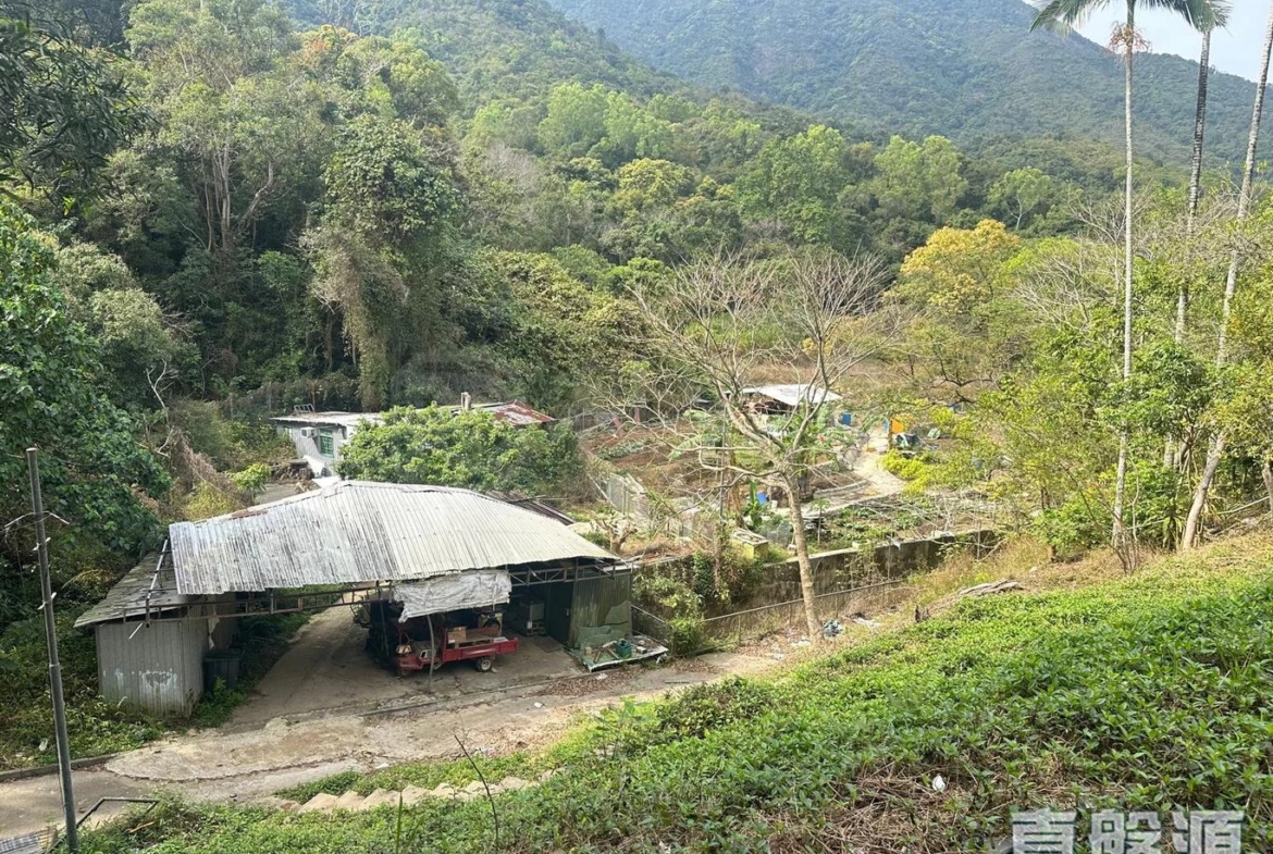 騰龍小築 B座 - 28NTS – 香港北部都會區