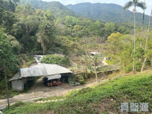騰龍小築 B座 - 28NTS – 香港北部都會區