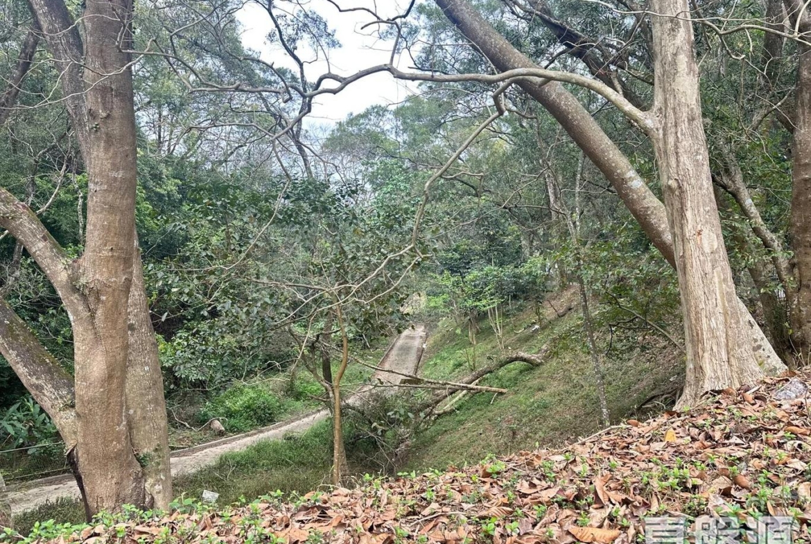 騰龍小築 B座 - 28NTS – 香港北部都會區