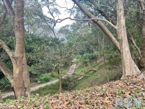 騰龍小築 B座 - 28NTS – 香港北部都會區