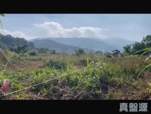 康樂園 第一街 - 28NTS – 香港北部都會區