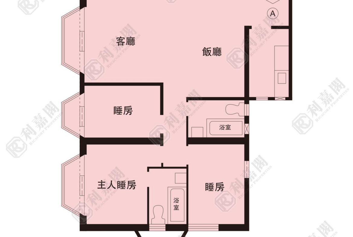 178646904813533_2000_ricacorp.png