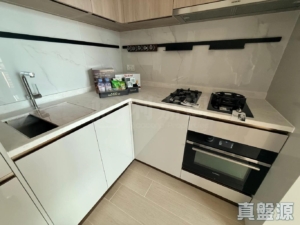黃金海灣 1期 意嵐 3座 - 28NTS – 香港北部都會區