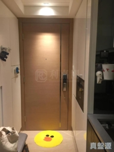 峻巒 2C期 PARK YOHO MILANO 32B座 - 28NTS – 香港北部都會區