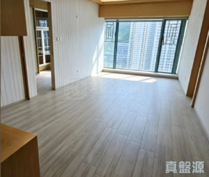 藍澄灣 3座 - 28NTS – 香港北部都會區