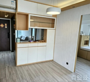 藍澄灣 3座 - 28NTS – 香港北部都會區