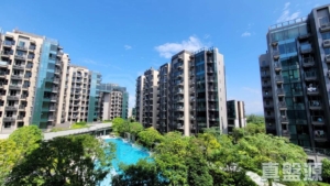 WETLAND SEASONS PARK 1期 16座 - 28NTS – 香港北部都會區