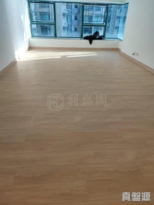 觀瀾雅軒 6座 - 28NTS – 香港北部都會區