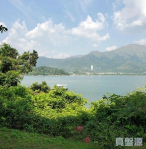 暉曜花園 1座 - 28NTS – 香港北部都會區