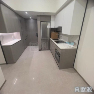 NOVO LAND 2B期 Arreso 1B座 - 28NTS – 香港北部都會區