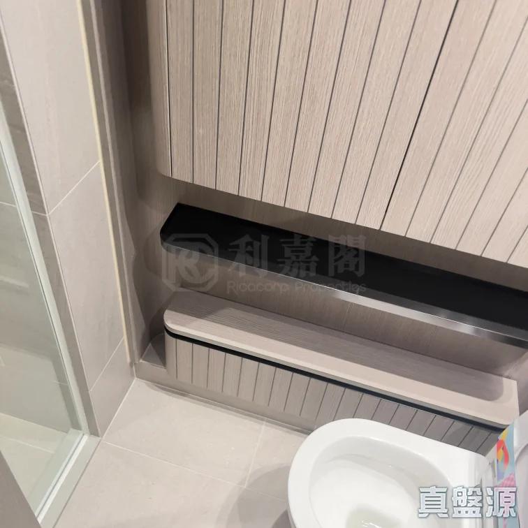 NOVO LAND 2B期 Arreso 1B座 - 28NTS – 香港北部都會區
