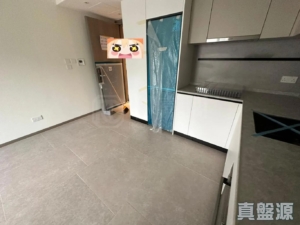 NOVO LAND 1A期 Elverum 2座 - 28NTS – 香港北部都會區