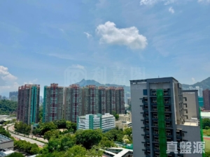 倚嶺南庭 - 28NTS – 香港北部都會區