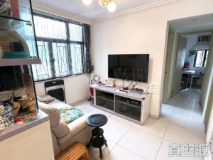 綠楊新邨 S座 - 28NTS – 香港北部都會區