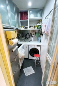 綠楊新邨 S座 - 28NTS – 香港北部都會區