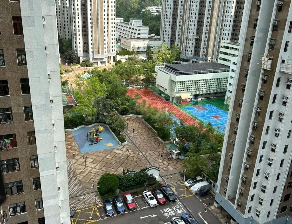綠楊新邨 S座 - 28NTS – 香港北部都會區