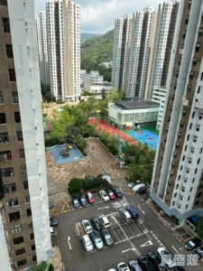 綠楊新邨 S座 - 28NTS – 香港北部都會區