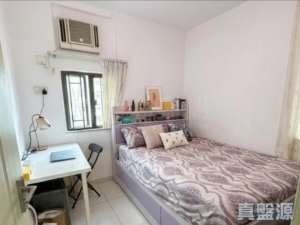 綠楊新邨 S座 - 28NTS – 香港北部都會區