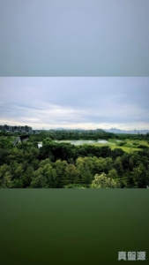 WETLAND SEASONS PARK 2期 15座 - 28NTS – 香港北部都會區