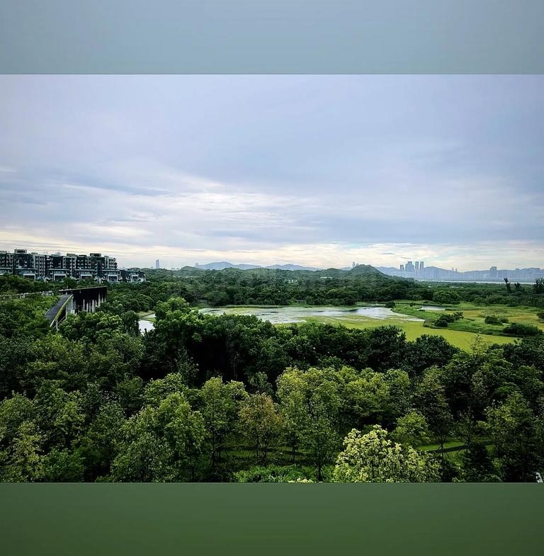 WETLAND SEASONS PARK 2期 15座 - 28NTS – 香港北部都會區