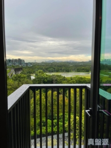 WETLAND SEASONS PARK 2期 15座 - 28NTS – 香港北部都會區