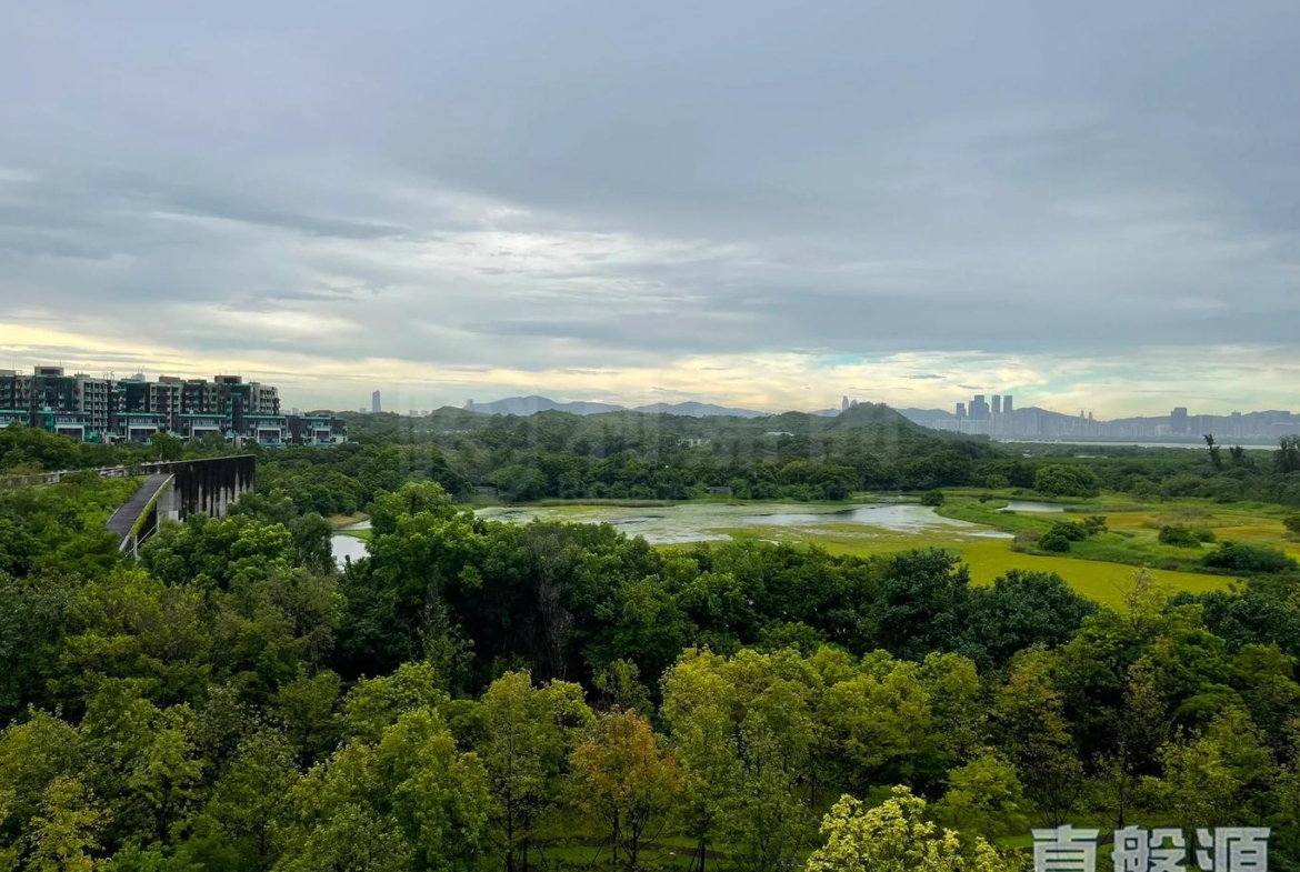 WETLAND SEASONS PARK 2期 15座 - 28NTS – 香港北部都會區