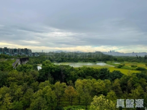 WETLAND SEASONS PARK 2期 15座 - 28NTS – 香港北部都會區
