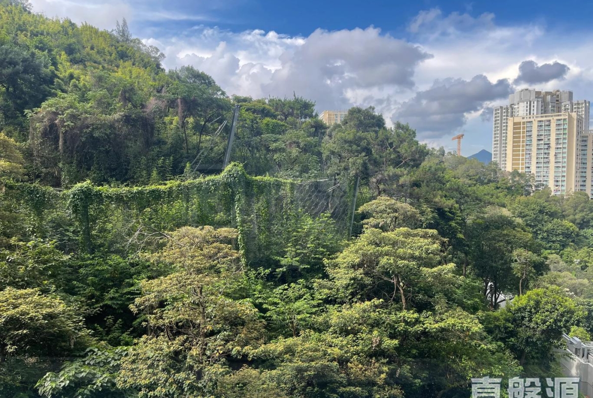 明翹匯 1座 - 28NTS – 香港北部都會區