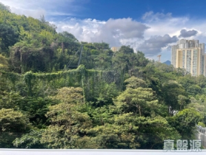 明翹匯 1座 - 28NTS – 香港北部都會區