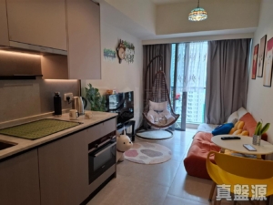NOVO LAND 3B期 Fiskars 2B座 - 28NTS – 香港北部都會區