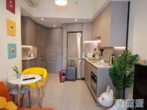 NOVO LAND 3B期 Fiskars 2B座 - 28NTS – 香港北部都會區