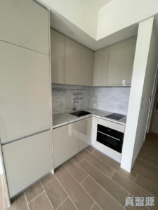 OMA OMA 2A座 - 28NTS – 香港北部都會區