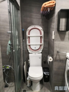 藍澄灣 1座 - 28NTS – 香港北部都會區