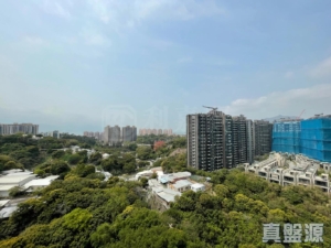 OMA OMA 2A座 - 28NTS – 香港北部都會區