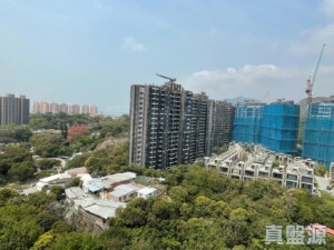 OMA OMA 2A座 - 28NTS – 香港北部都會區