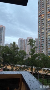 WETLAND SEASONS PARK 1期 6座 - 28NTS – 香港北部都會區