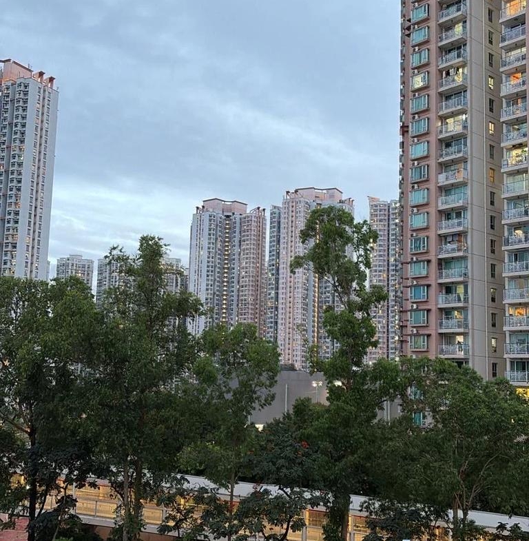 WETLAND SEASONS PARK 1期 6座 - 28NTS – 香港北部都會區