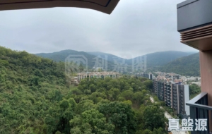 天鑽 9座 - 28NTS – 香港北部都會區