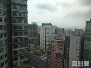 樂悠居 - 28NTS – 香港北部都會區