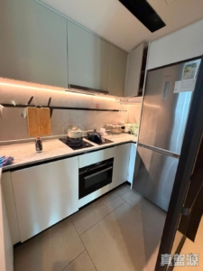 NOVO LAND 1B期 Bergen 2座 - 28NTS – 香港北部都會區