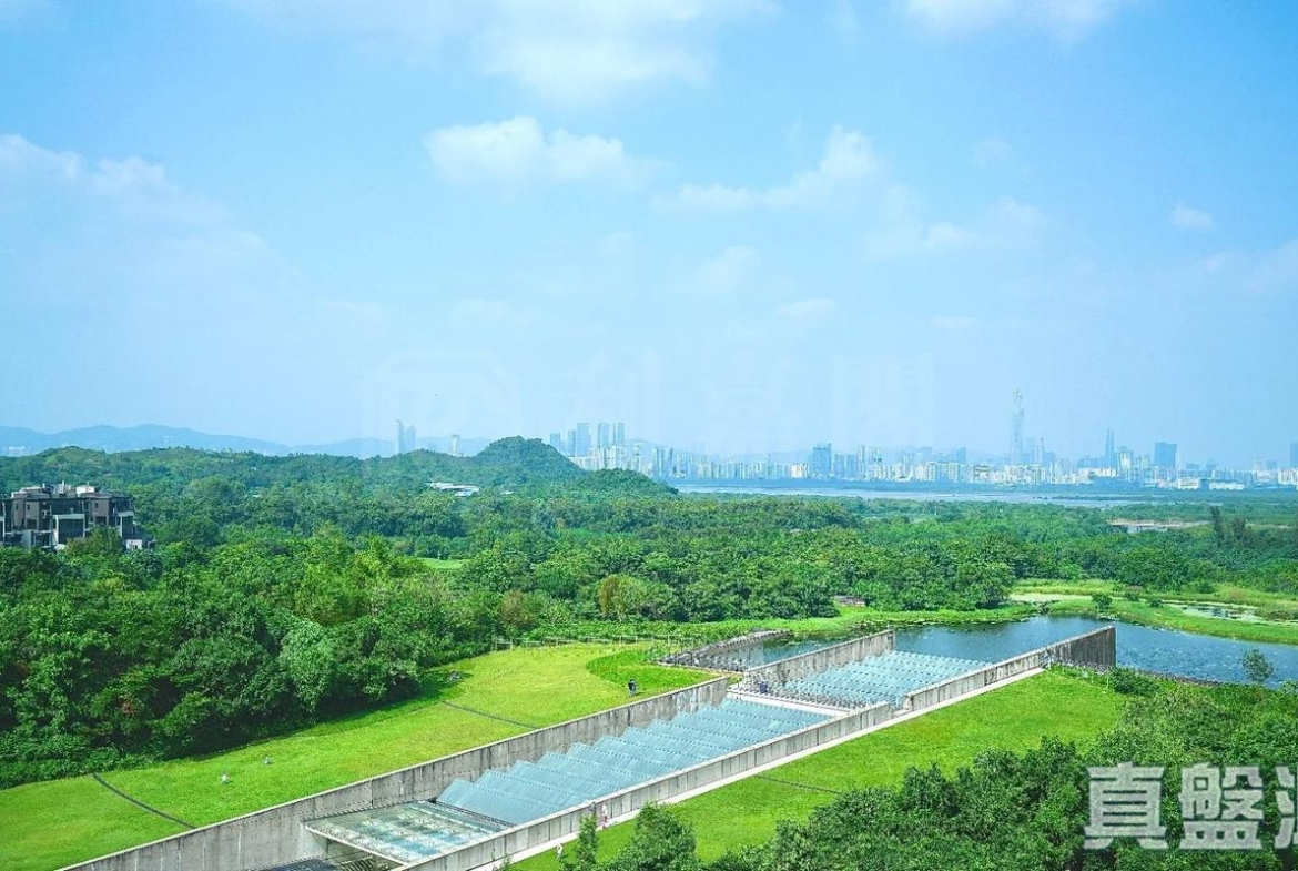 WETLAND SEASONS PARK 2期 2座 - 28NTS – 香港北部都會區