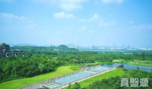 WETLAND SEASONS PARK 2期 2座 - 28NTS – 香港北部都會區
