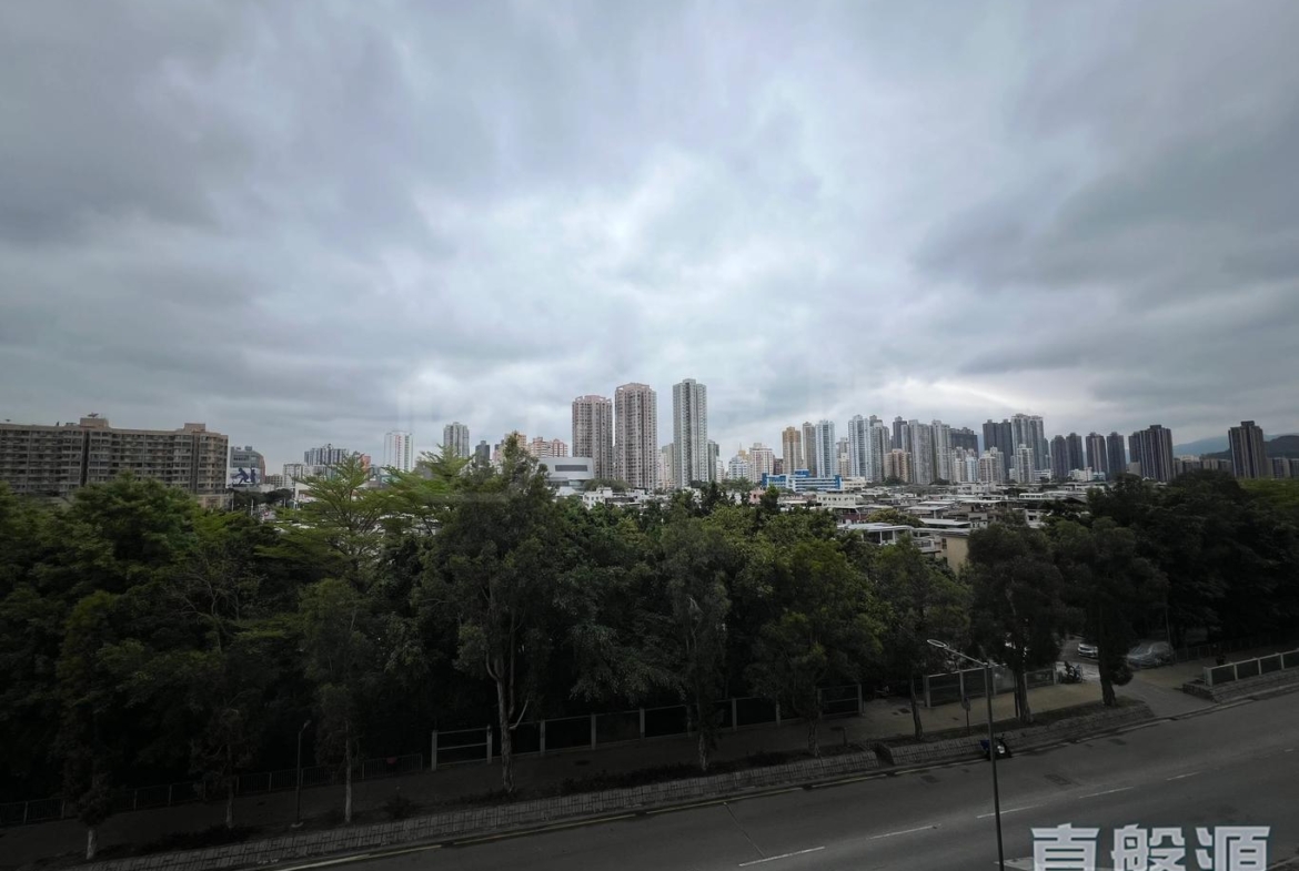 瑧頤 - 28NTS – 香港北部都會區