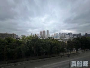 瑧頤 - 28NTS – 香港北部都會區